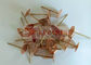 Corrosion Resistance Umbralla Base Copper CD Weld Pins For Fix Cement Roofing
